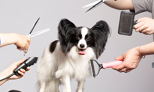 공지사항이미지3