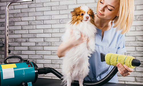 공지사항이미지1