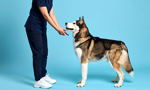 공지사항이미지2